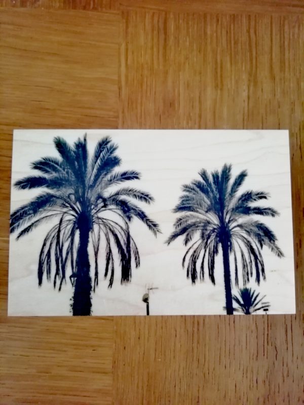 carte postale bois palmier